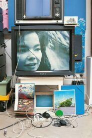 Björk: Vessel 1994 1994 on netflix