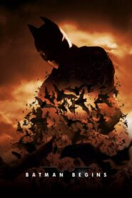 Batman Begins 2005 on netflix