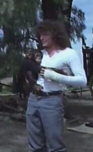 Fieras contra fieras 1982 on netflix