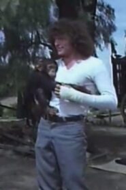 Fieras contra fieras 1982 on netflix