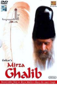 Mirza Ghalib 1988 on netflix