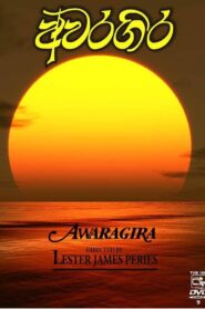 Awaragira 1990 on netflix
