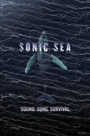 Sonic Sea 2016 on netflix