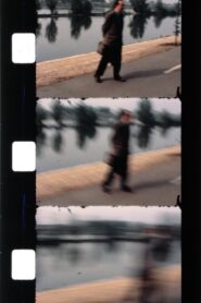 Effeuiller l’acanthe 1987 on netflix