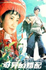 奇异的婚配 1981 on netflix