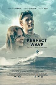 The Perfect Wave 2014 on netflix