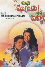 Halo Mogudu Bale Pellam 1996 on netflix