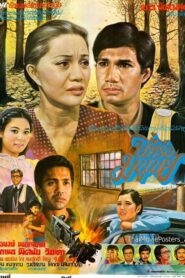 นี่หรือมนุษย์ 1982 on netflix