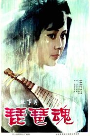 琵琶魂 1982 on netflix