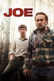 Joe 2014 on netflix