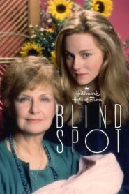 Blind Spot 1993 on netflix