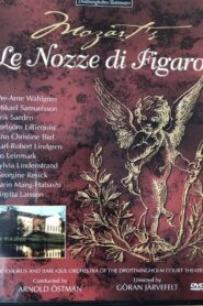 Le Nozze di Figaro 1981 on netflix