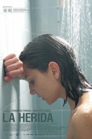 Wounded 2013 on netflix