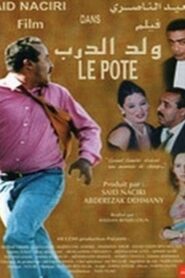 Le pote 2002 on netflix