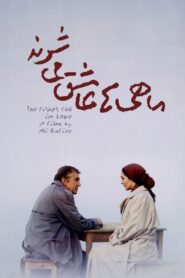 The Fish Fall in Love 2007 on netflix