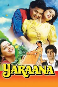 Yaraana 1995 on netflix