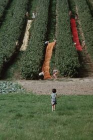 Colour 1982 on netflix
