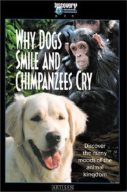 Why Dogs Smile and Chimpanzees Cry 1999 on netflix