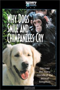 Why Dogs Smile and Chimpanzees Cry 1999 on netflix