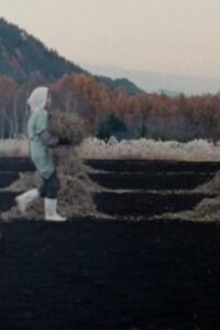 NО̄ 2003 on netflix