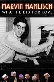 Marvin Hamlisch: What He Did For Love 2013 on netflix