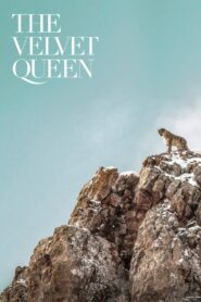 The Velvet Queen 2021 on netflix