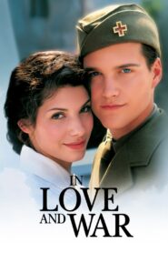 In Love and War 1996 on netflix