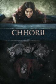 Chhorii 2021 on netflix
