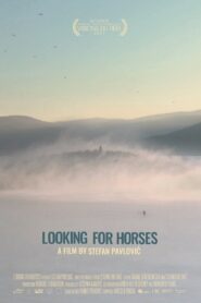 Looking for Horses 2021 on netflix