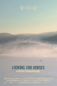 Looking for Horses 2021 on netflix