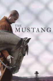 The Mustang 2019 on netflix