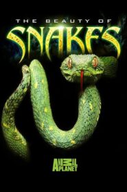 The Beauty of Snakes 2003 on netflix