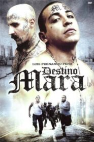Destino Mara 2010 on netflix