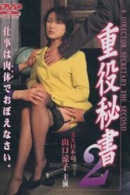A DIRECTOR SECRETARY THE SECOND 1998 on netflix