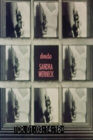 Pena Prisão 1984 on netflix