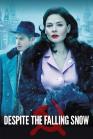 Despite the Falling Snow 2016 on netflix
