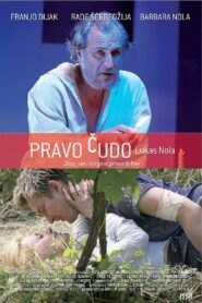 True Miracle 2007 on netflix