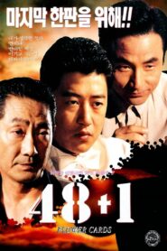 48 + 1 1995 on netflix
