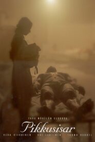 Little Sister 1999 on netflix