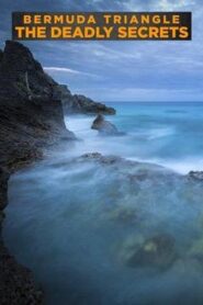 Bermuda Triangle: The Deadly Secrets 2018 on netflix