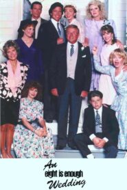 An Eight Is Enough Wedding 1989 on netflix