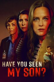 Have You Seen My Son? 2024 on netflix