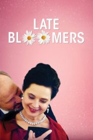 Late Bloomers 2011 on netflix