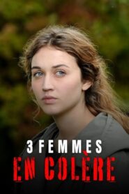 3 femmes en colère 2013 on netflix