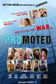 Promoted 2015 on netflix