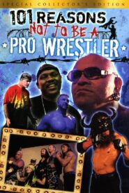 101 Reasons Not To Be A Pro Wrestler 2005 on netflix