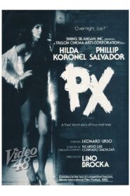 PX 1982 on netflix