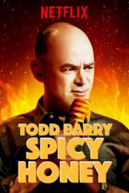Todd Barry: Spicy Honey 2017 on netflix