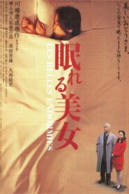 House of Sleeping Beauties 1995 on netflix