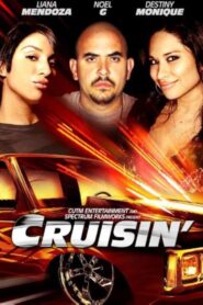 Cruisin’ 2014 on netflix